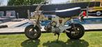 Honda ST50 White Dax 1973 - Belgisch, Comme neuf, Classe B (45 km/h), Enlèvement, 50 cm³
