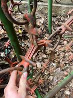 Weisleep jako 4 m, Zakelijke goederen, Landbouw | Werktuigen, Ophalen