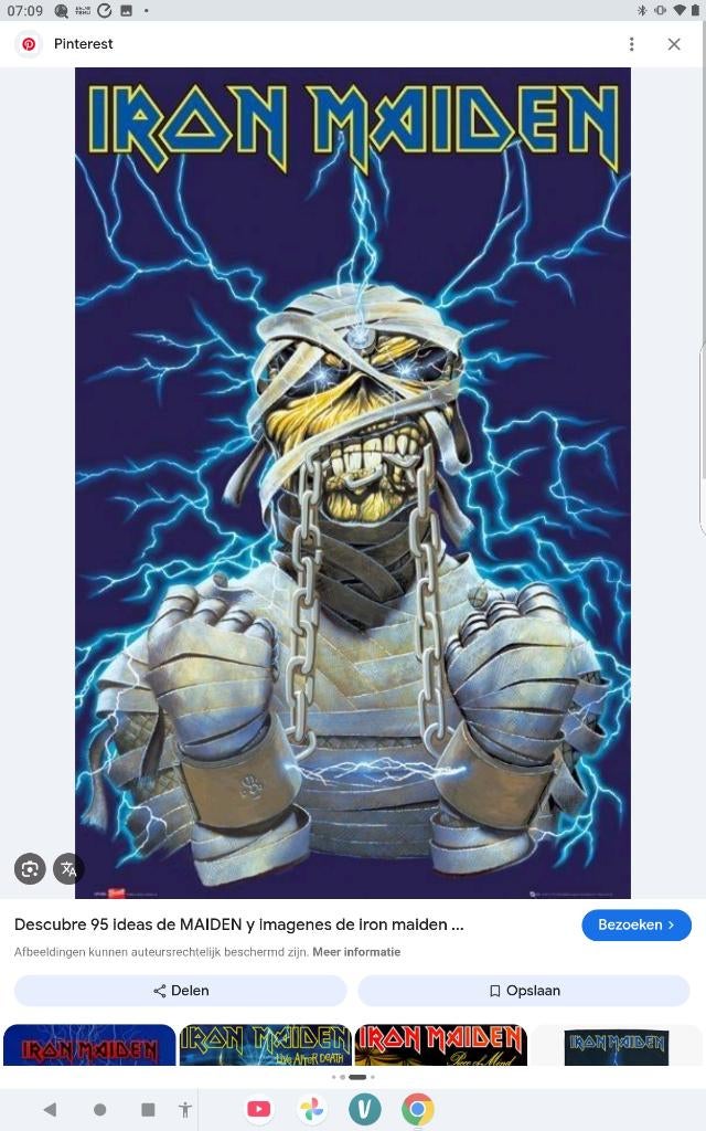 Billet de concert d'Iron Maiden, Une personne, Juin, Hard Rock ou Metal