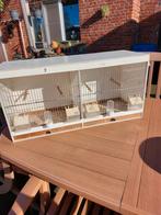 Kweek kooien, Ophalen