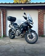 Triumph Tigre 1200 GT PRO, Motos, Permis Moto A, Tourisme, Entreprise, Plus de 35 kW