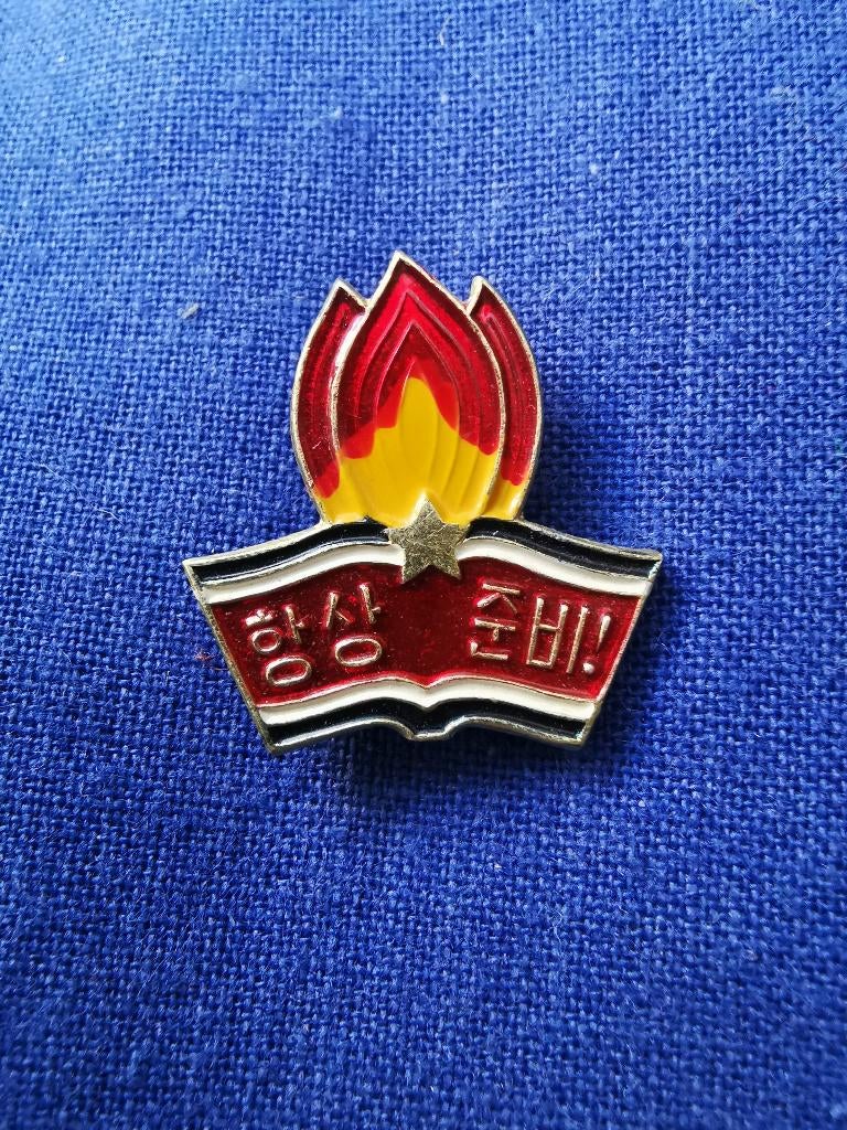 Zeldzame Noord-Koreaanse badge pin speld Jonge Pioniers, Ophalen of Verzenden, Overige soorten, Overige typen