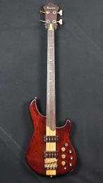 Musicien Ibanez, Enlèvement