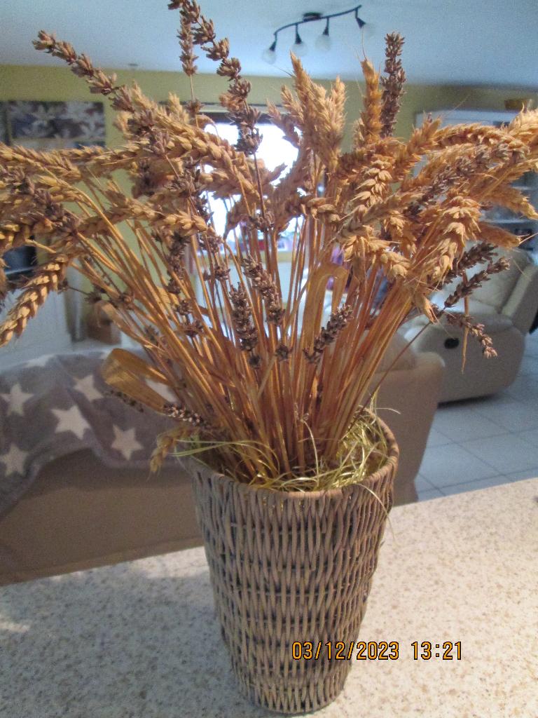 Vase en osier avec lavande et blé, Ophalen, Gebruikt