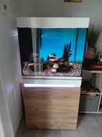 Aquarium, Enlèvement, Comme neuf, Aquarium d'eau douce rempli