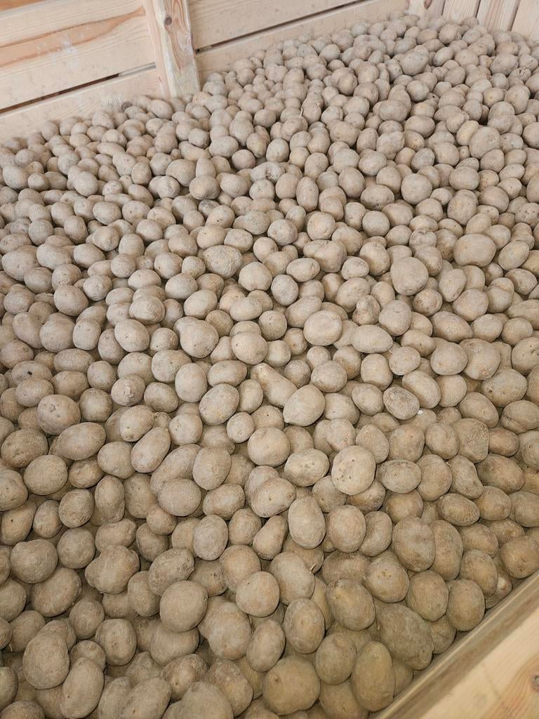 Fontane planters beschikbaar, Ophalen