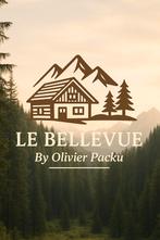 Spacieux duplex 60 m2 - Vosges - Gérardmer, TV