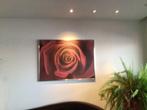 Rode roos in aluminium kader 100x135 cm, Antiek en Kunst, Ophalen