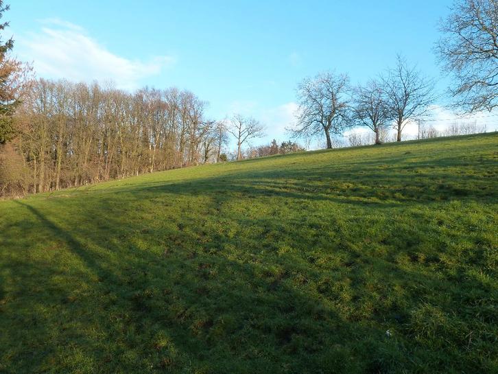 Prairie équidés Modave, Animaux & Accessoires, Box & Pâturages, Pâturage, 1 cheval ou poney