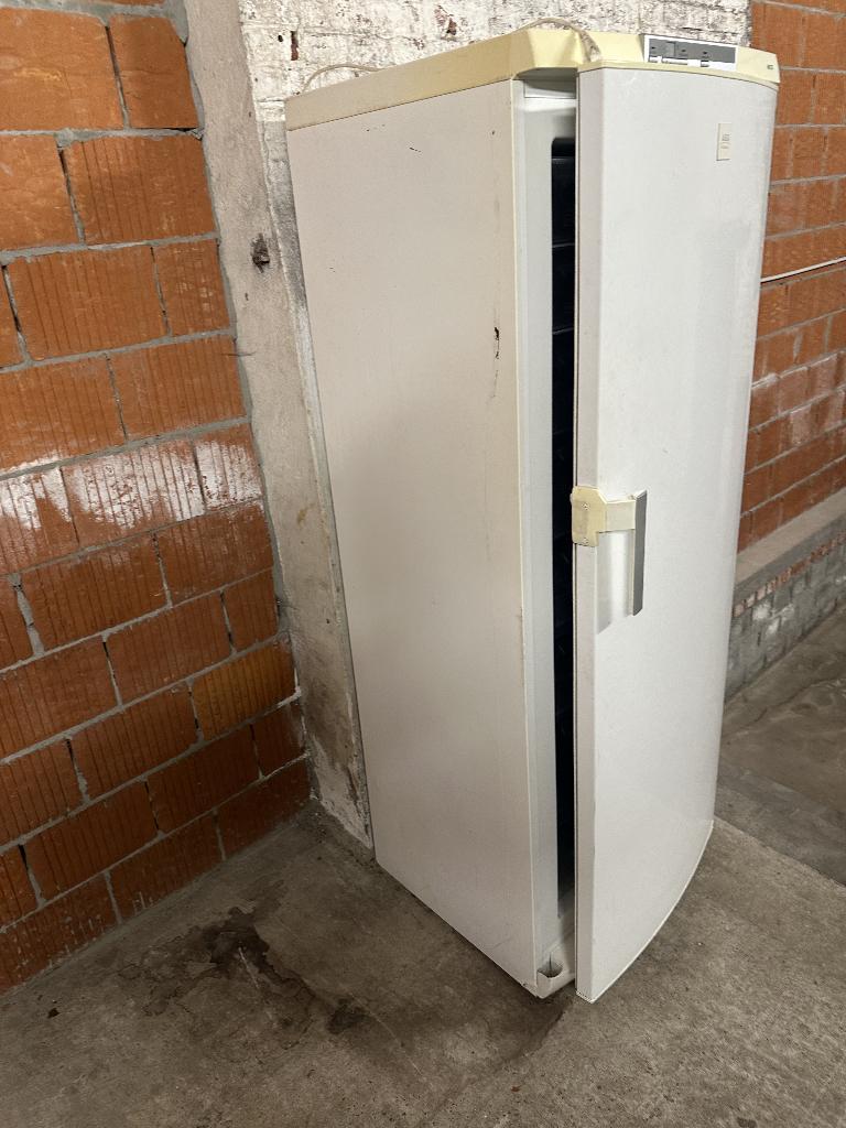 Staan-Diepvries, 160 cm of meer, Zo goed als nieuw, Vrijstaand, 90 cm of meer