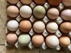 Broedeieren gemengd