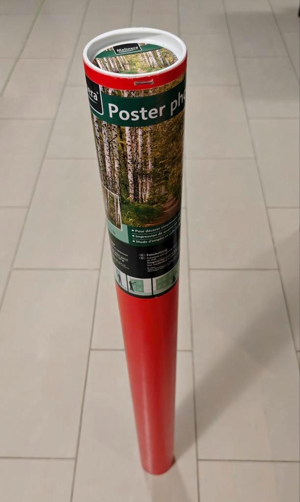 Fotobehang 368 x 254 cm : boslandschap, Huis en Inrichting, Stoffering | Behang, minder dan 10 m², Ophalen