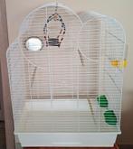 Grote kooi met complete accessoires, Ophalen