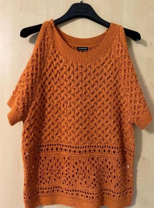 Mooie Caroline Biss zomertrui, Kleding | Dames, Truien en Vesten, Maat 36 (S), Ophalen of Verzenden
