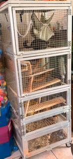 Chinchilla’s plus kooi, Dieren en Toebehoren, Ophalen, Zo goed als nieuw, Kooi, Chinchilla