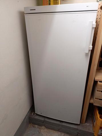 Liebherr 125cm hoog, Elektronische apparatuur, Vriezers en Diepvrieskisten, Ophalen, Gebruikt