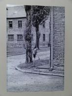 Vrouw veegt de straat van kamp Auschwitz, foto 45 x 30 cm,, Antiek en Kunst, Verzenden