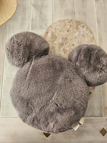 Rocourt coussin zara home Disney 