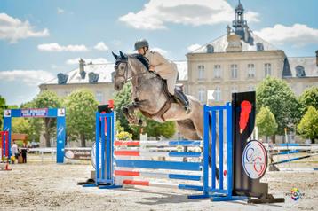 Reprise d'un haras de chevaux de sport en activité  beschikbaar voor biedingen