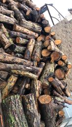 Wilgenhout, Tuin en Terras, Brandhout, Ophalen of Verzenden