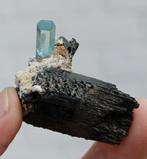 AQUAMARIJN op zwarte TOERMALIJN uit ERONGO in NAMIBIE, Ophalen of Verzenden