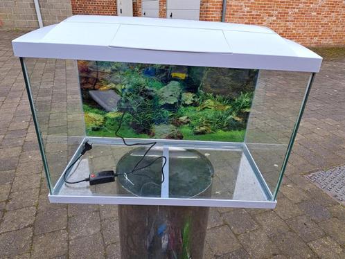Leeg aquarium SuperFish start 70.Zie ook mijn andere zoekert, Dieren en Toebehoren, Vissen | Aquaria en Toebehoren, Zo goed als nieuw