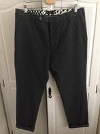 Daniele Fiesoli broek Made in Italy Nieuw, Ophalen of Verzenden, Nieuw, Maat 52/54 (L), Grijs