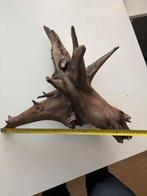 Aquariumhout Corboro wood, Dieren en Toebehoren, Ophalen, Zo goed als nieuw, Plant(en), Steen of Hout