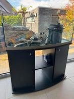 Aquaterrarium voor waterschildpadden, Dieren en Toebehoren, Ophalen, Gebruikt, Leeg aquarium