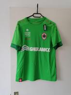 Royal Antwerp FC Shirt Groen 2019-2020 Small Nieuw, Sport en Fitness, Maat S, Ophalen of Verzenden, Nieuw, Shirt
