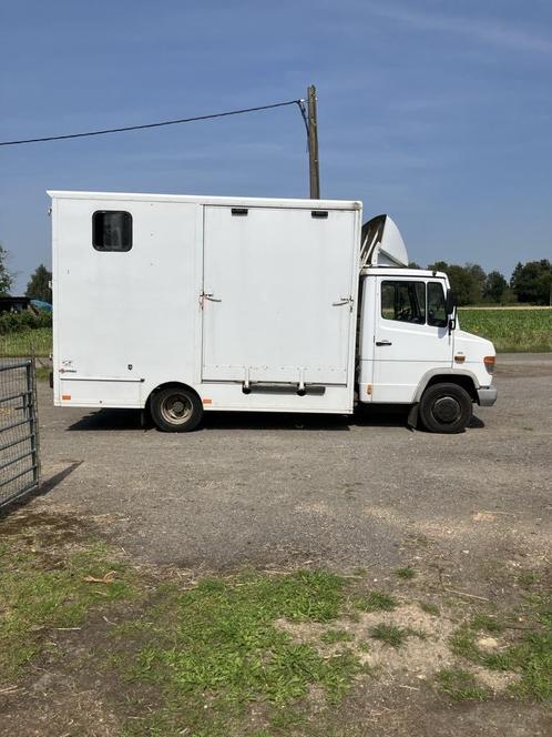 paardenvrachtwagen, Dieren en Toebehoren, Paarden en Pony's | Trailers en Aanhangwagens, Ophalen