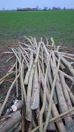 Wilgenhout reeds gezaagd, Tuin en Terras, Brandhout, Ophalen