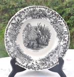 assiette Creil Montereau n4 narcisse, Antiek en Kunst, Ophalen of Verzenden