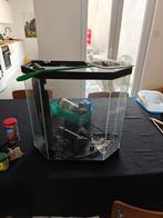 Aquarium te koop, Dieren en Toebehoren, Ophalen, Gebruikt