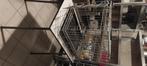 Benche honden, Dieren en Toebehoren, Ophalen, Zo goed als nieuw