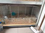 Glaze hamster/ratten kooi, Dieren en Toebehoren, Augustus, Geslacht onbekend, Overige typen, Tam