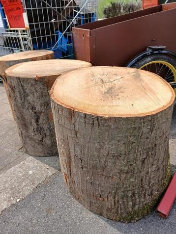 Houtblok, nagelblok beschikbaar voor biedingen