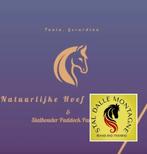 Training,  Inrijden, revalidatie paarden, Sport en Fitness, Ophalen of Verzenden