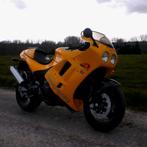 Triumph Daytona 900, Motos, Motos | Triumph, Plus de 35 kW, Super Sport, Particulier, 3 cylindres