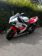 Yamaha R1, Particulier