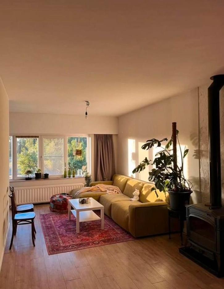 Canapé vert Livingdesign, Maison & Meubles, Canapés | Salons, Comme neuf, Banc d'angle, Quatre personnes ou plus, 300 cm ou plus