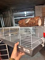 Hamsterkooi met toebehoren, Dieren en Toebehoren, Ophalen, Zo goed als nieuw
