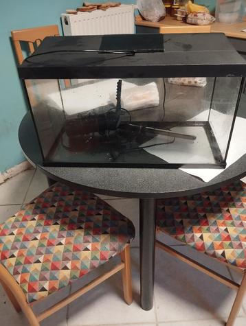 Aquarium met filter en decoratie, Enlèvement, Utilisé