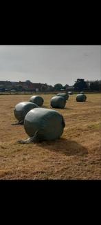 Ronde gewikkelde hooibalen, Zakelijke goederen, Landbouw | Veevoer, Ophalen