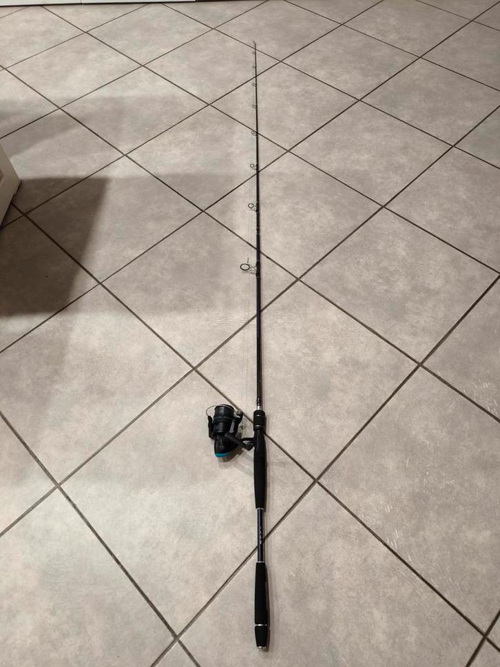 Canne spinning pour le brochet, Watersport en Boten, Hengelsport | Roofvissen, Zo goed als nieuw, Molen, Ophalen