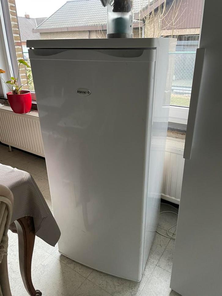 Gratis Diepvries Friac, Electroménager, Congélateurs, Utilisé, Autoportant, Congélateur, Congélateur, 140 à 160 cm, 60 à 90 cm