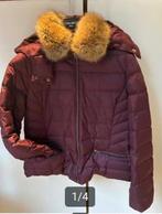 Donsjas dames Caroll., Neuf, Taille 38/40 (M), Enlèvement ou Envoi, Caroll