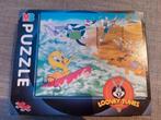 Puzzel 100 stuks, Ophalen of Verzenden, Gebruikt