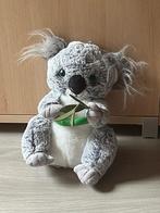 Knuffel Koala 50 cm, Ophalen of Verzenden, Zo goed als nieuw, Overige typen
