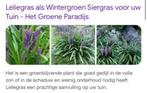 Liriope ook lelie gras genoemd, Ophalen, Vaste plant